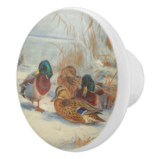 Mallard and teal in the snow, Birds Ceramic Knob