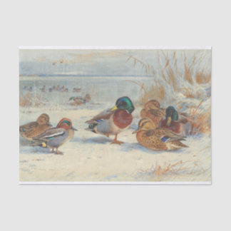 Mallard and teal in the snow, Birds Tissue Paper