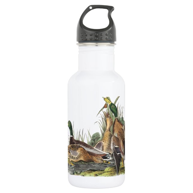 Mallard by Audubon 532 Ml Water Bottle (Front)