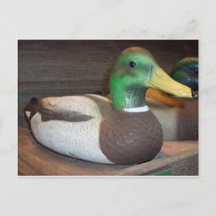 Mallard Decoy Postcard