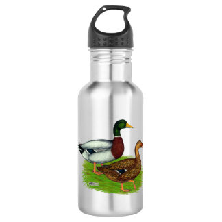 Mallard Drake and Duck 532 Ml Water Bottle