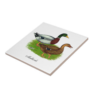Mallard Drake and Duck Tile