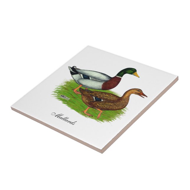 Mallard Drake and Duck Tile (Side)