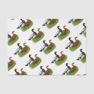 Mallard Drake and Duck Tissue Paper