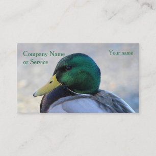 Mallard drake business card