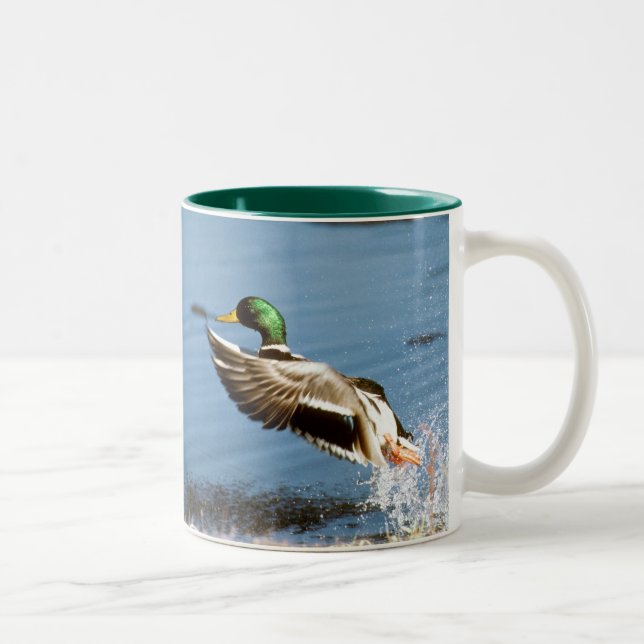 Mallard (drake) Coffee Mug (Right)