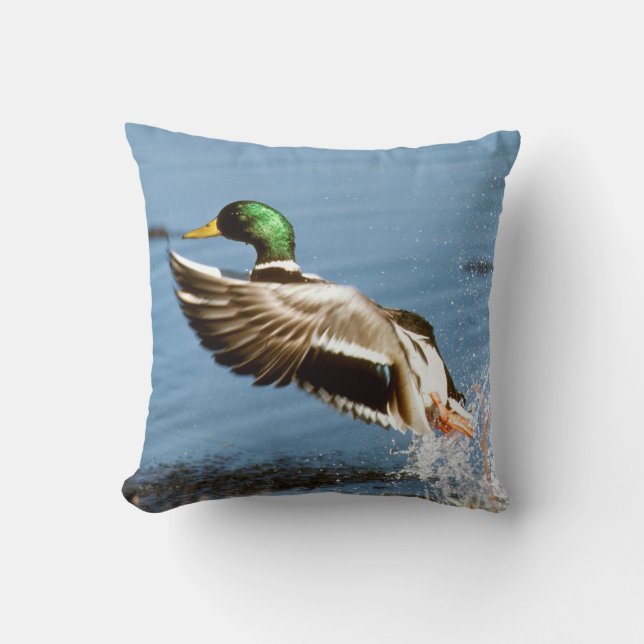 Mallard Drake Duck Cushion (Front)