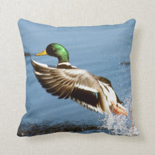 Mallard Drake Duck Cushion