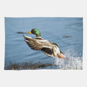 Mallard Drake Duck Tea Towel