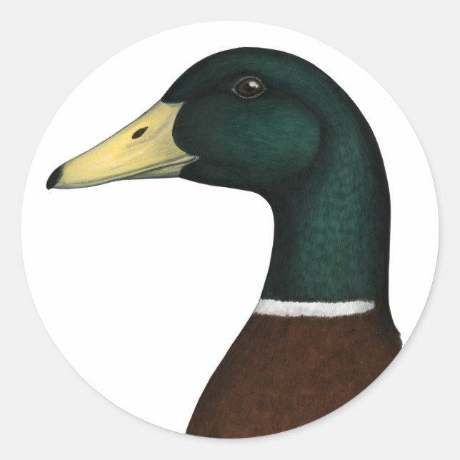 Mallard Drake Head Classic Round Sticker (Front)