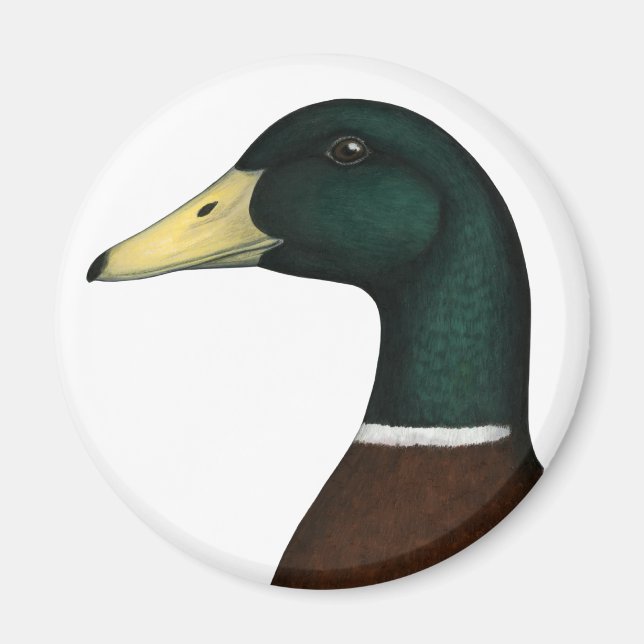 Mallard Drake Head Magnet (Front)
