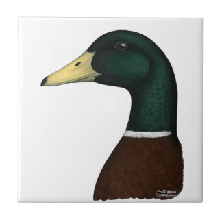 Mallard Drake Head Tile