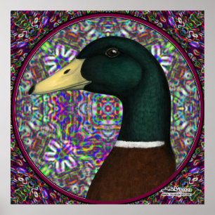 Mallard Drake Mosaic Circle Poster