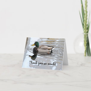 Mallard Drake Poster Thank You Card