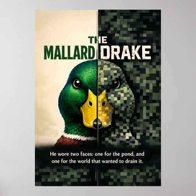 Mallard Drake Two Faces Duck Art Poster (Front)
