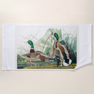 Mallard Duck, 1834, From the Birds of America Beach Towel