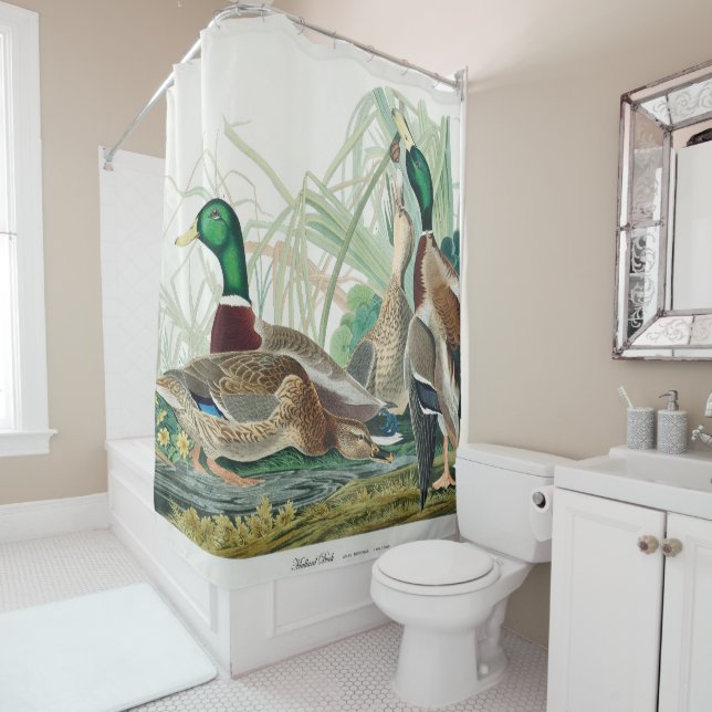 Mallard Duck, 1834, From the Birds of America Shower Curtain (In Situ)