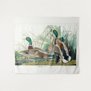 Mallard Duck, 1834, From the Birds of America Tapestry