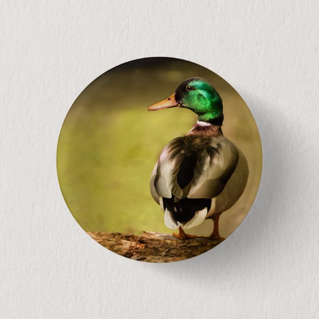 Mallard Duck 3 Cm Round Badge (Front)