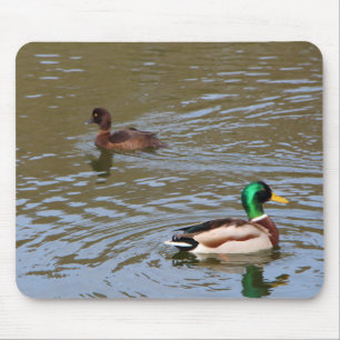 Mallard duck and tufted duck on a river mouse pad