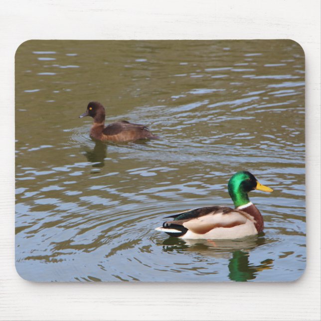 Mallard duck and tufted duck on a river mouse pad (Front)