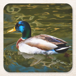Mallard Duck Artistic Portrait Square Paper Coaster