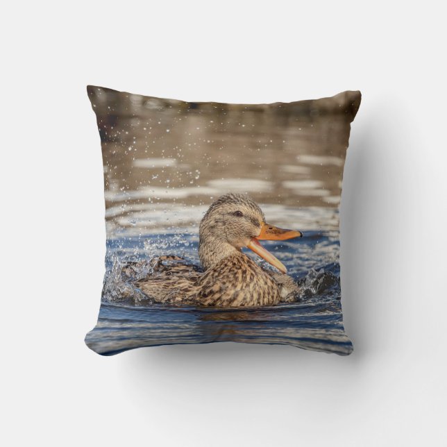 Mallard Duck at Downing Park Cushion (Front)