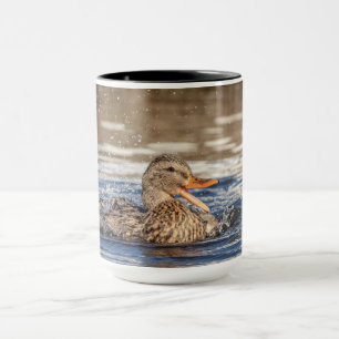 Mallard Duck at Downing Park Mug