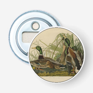 Mallard Duck Audubon Bird Painting Bottle Opener
