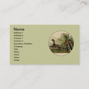 Mallard Duck Audubon Bird Painting Business Card