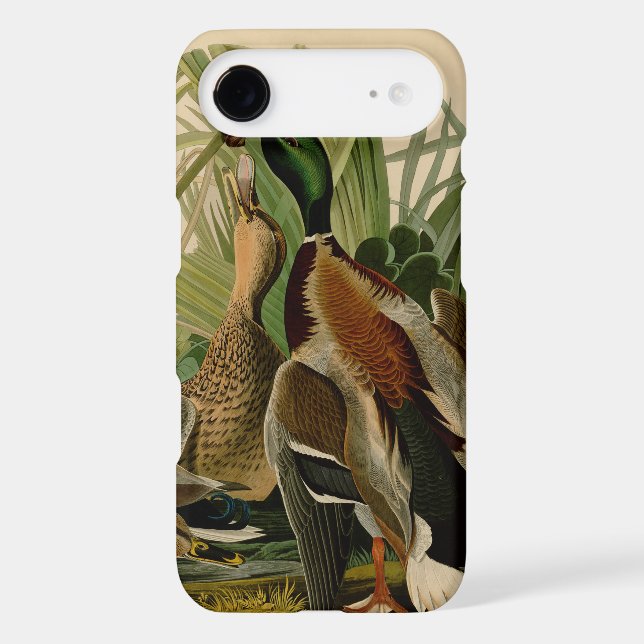 Mallard Duck Audubon Bird Painting Case-Mate iPhone Case (Back)
