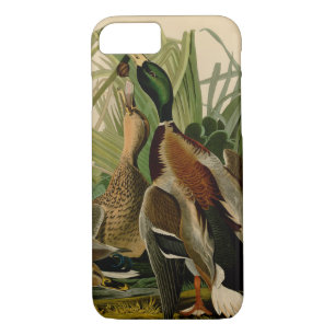 Mallard Duck Audubon Bird Painting iPhone 8/7 Case