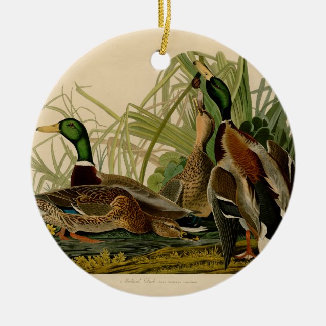 Mallard Duck Audubon Bird Painting Ceramic Tree Decoration (Front)