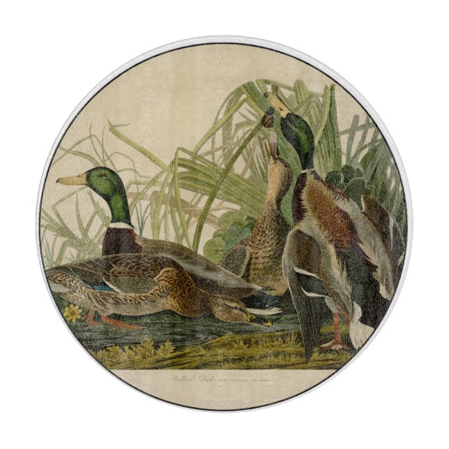 Mallard Duck Audubon Bird Painting Cutting Board (Front)