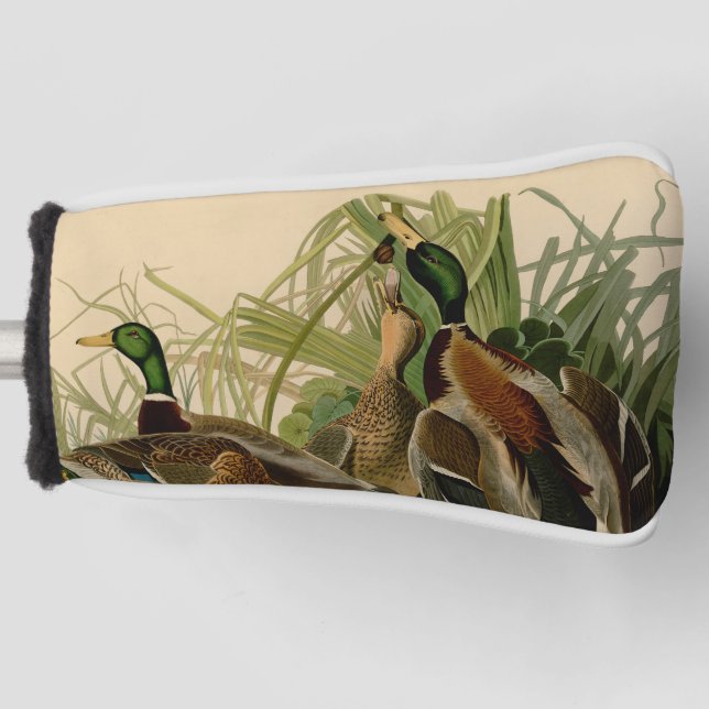 Mallard Duck Audubon Bird Painting Golf Head Cover (Front)