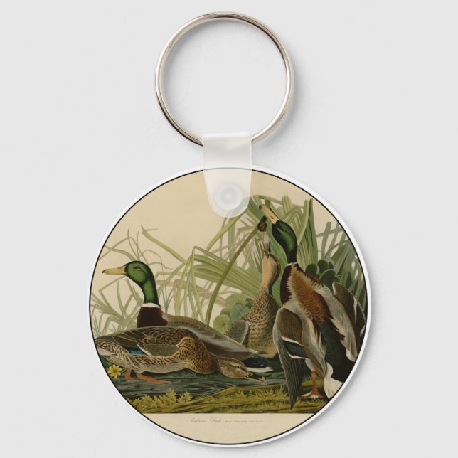 Mallard Duck Audubon Bird Painting Key Ring (Front)