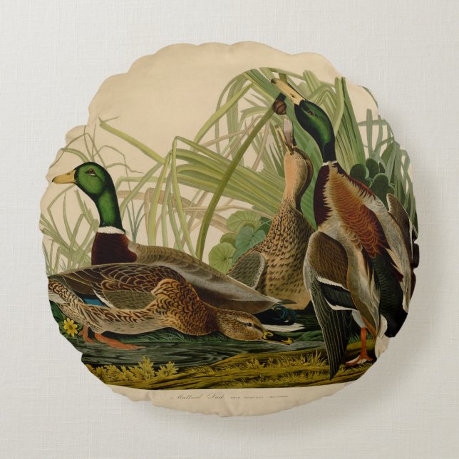 Mallard Duck Audubon Bird Painting Round Cushion (Front)