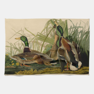 Mallard Duck Audubon Bird Painting Tea Towel