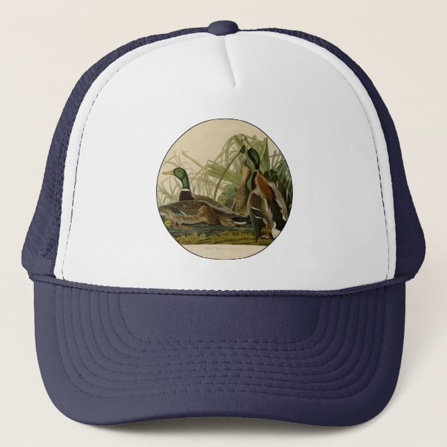 Mallard Duck Audubon Bird Painting Trucker Hat (Front)