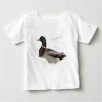 Mallard Duck