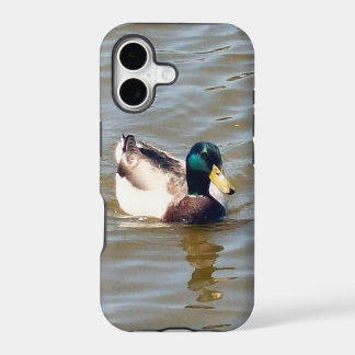 Mallard Duck Barely There iPhone 5/5S Case
