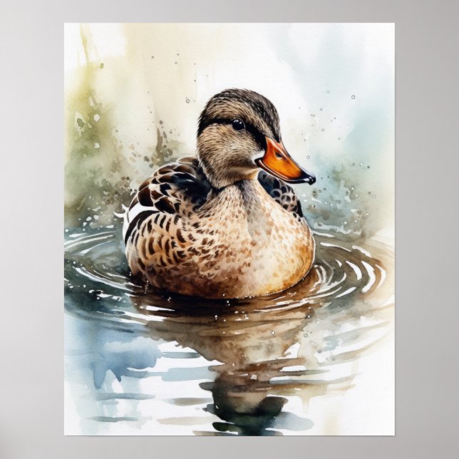 Mallard Duck Bird Art Print Poster (Front)