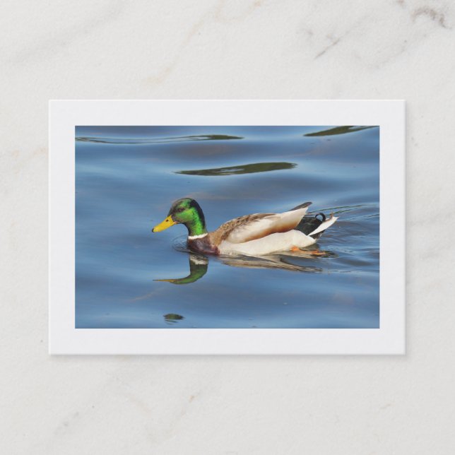 Mallard Duck (Bordered) Business Card (Front)