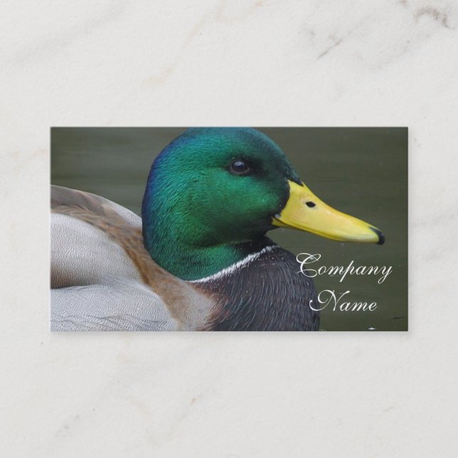 Mallard Duck Business Card (Front)