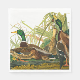 Mallard Duck by John James Audubon Napkin