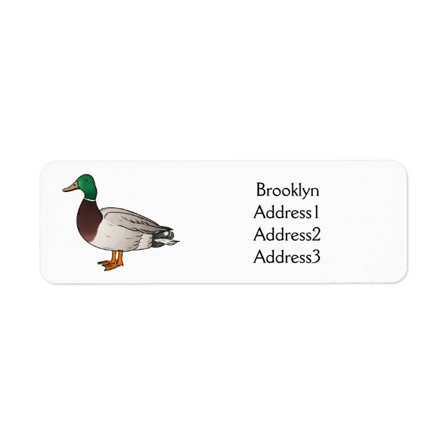 Mallard duck cartoon illustration (Front)