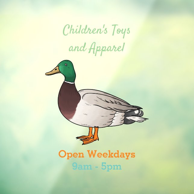 Mallard duck cartoon illustration (Sheet 3)
