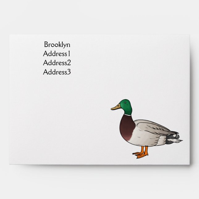 Mallard duck cartoon illustration envelope (Front)
