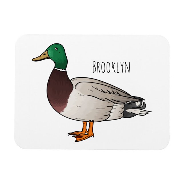 Mallard duck cartoon illustration  magnet (Horizontal)