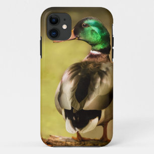 Mallard Duck iPhone 11 Case